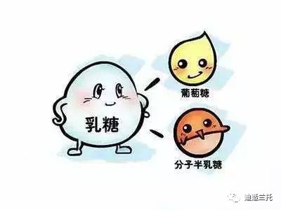 迪适兰托【解疑答惑】：宝宝吃腹泻奶粉期间，还需要吃乳糖酶吗？